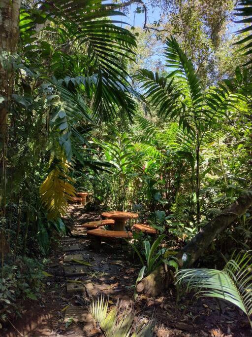 Eco Villas Tambor Tucanes Extérieur photo