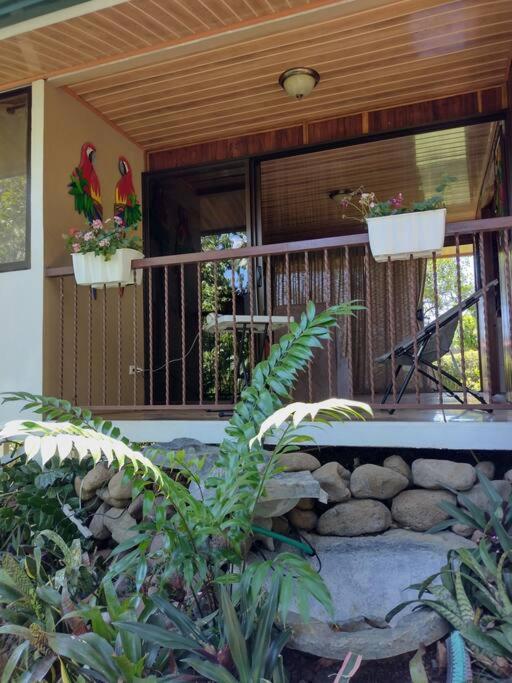 Eco Villas Tambor Tucanes Extérieur photo