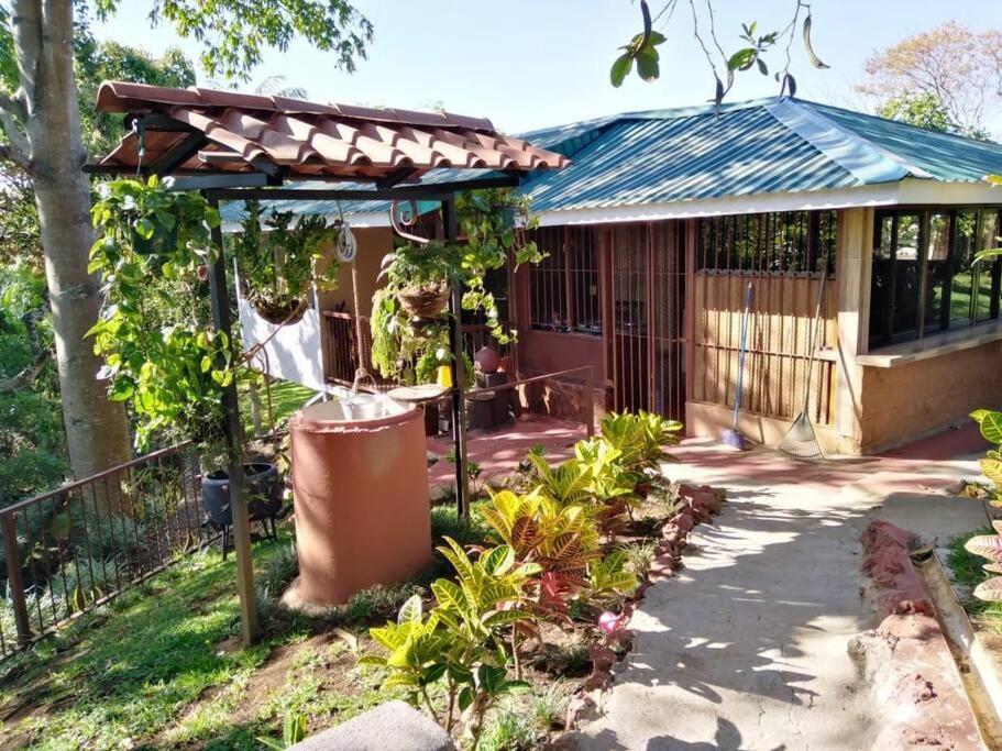 Eco Villas Tambor Tucanes Extérieur photo