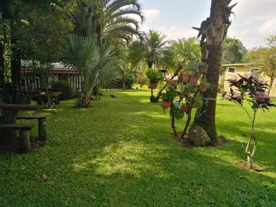 Eco Villas Tambor Tucanes Extérieur photo