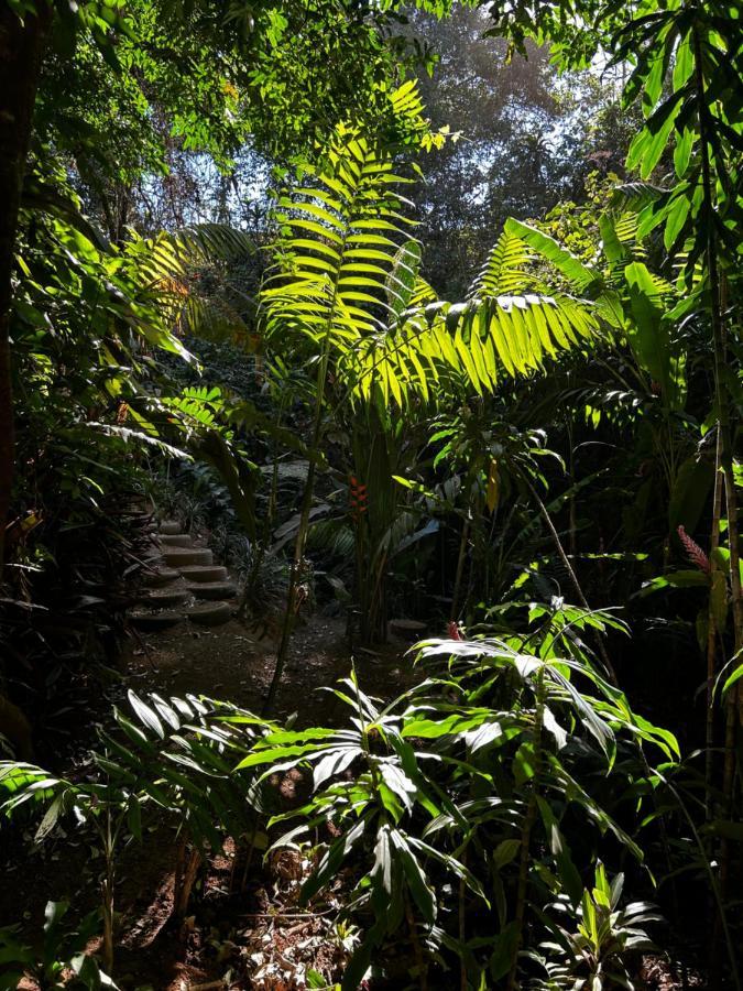 Eco Villas Tambor Tucanes Extérieur photo