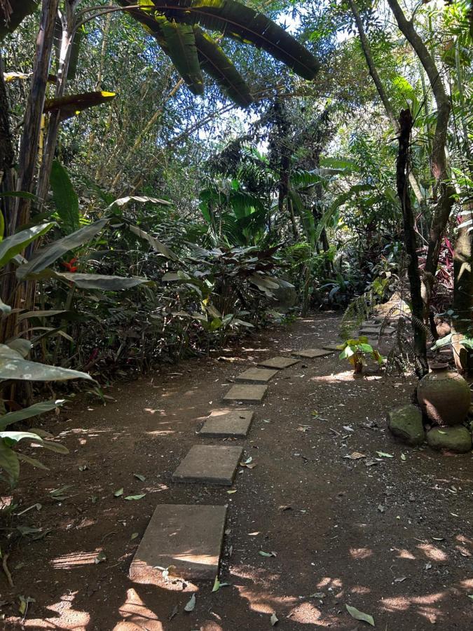 Eco Villas Tambor Tucanes Extérieur photo