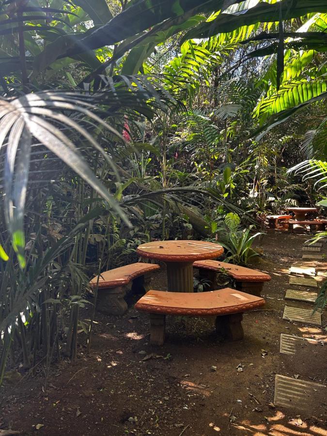 Eco Villas Tambor Tucanes Extérieur photo