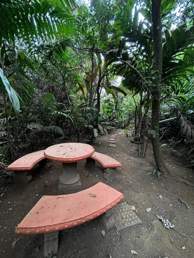 Eco Villas Tambor Tucanes Extérieur photo
