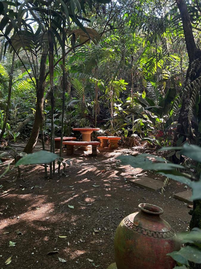 Eco Villas Tambor Tucanes Extérieur photo