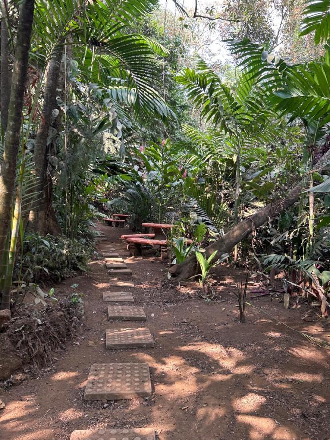 Eco Villas Tambor Tucanes Extérieur photo