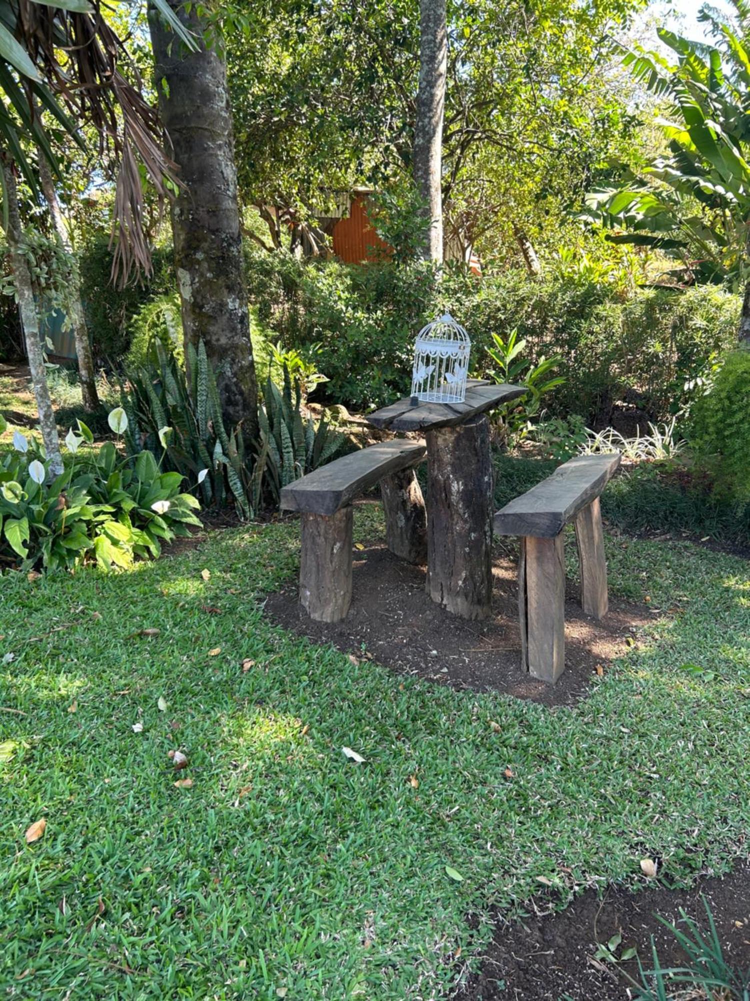 Eco Villas Tambor Tucanes Extérieur photo