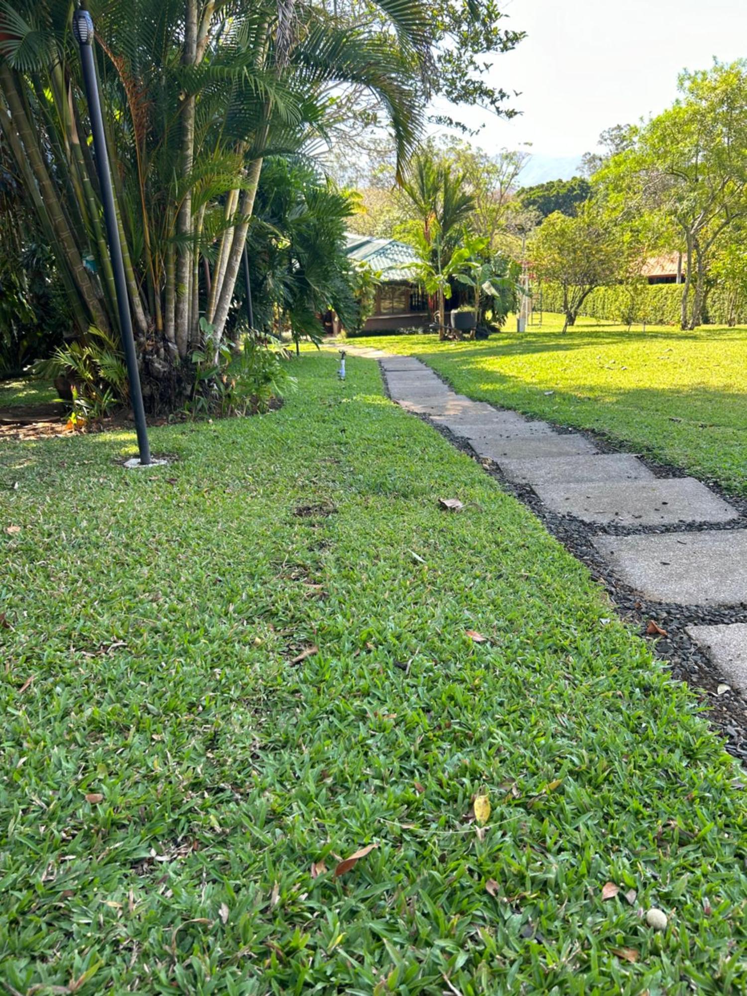 Eco Villas Tambor Tucanes Extérieur photo
