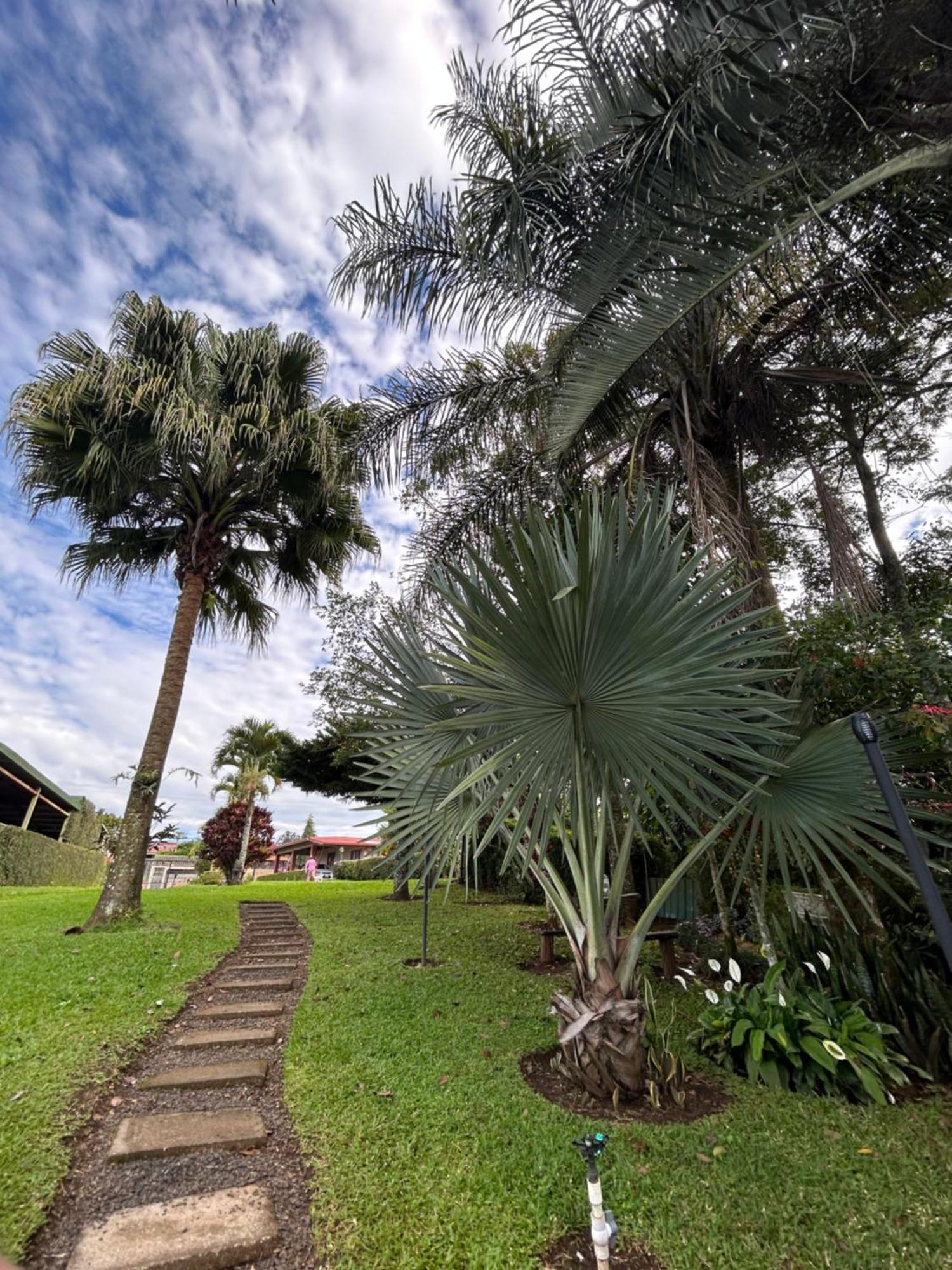 Eco Villas Tambor Tucanes Extérieur photo